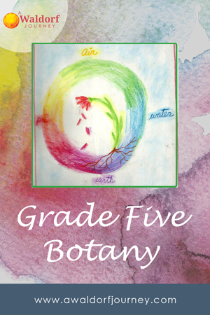 waldorf grade five botany